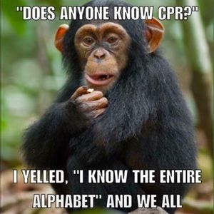 Meet your Posher, Johnny